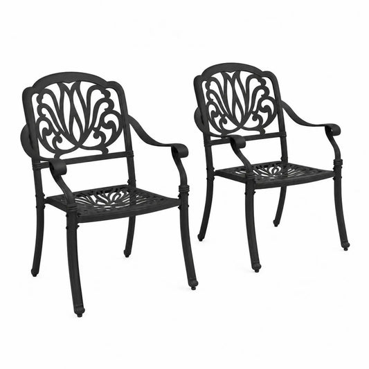 Set di 2 Sedie da Esterno in Alluminio Nero